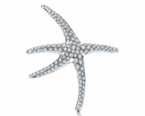 Starfish Brooch