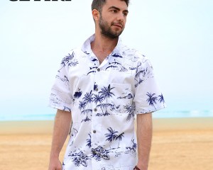 Summer Style Men Shirt Cotton Hawaiian Beach Large Size Short-Sleeved Clothing Fancy Dress Shirts For Men Hawaiian Print Shirts
