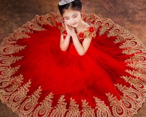Princess Ball Gown Red Lace Flower Girls Dresses for Weddings Birthday Communion Kids Stage Performance Show